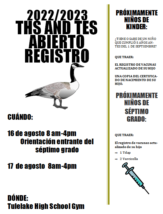 Registration Spanish